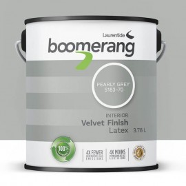 Peinture Boomerang couleur...