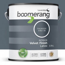 Peinture Boomerang couleur...