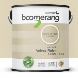 Peinture Boomerang couleur...