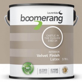 Peinture Boomerang couleur...