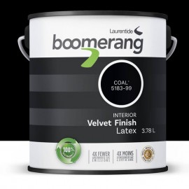 Peinture Boomerang Noir...