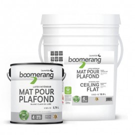 Peinture Boomerang Mat pour...