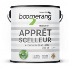 Peinture Boomerang...