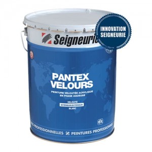 Peinture Velours Seigneurie