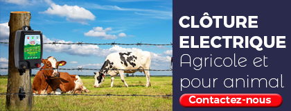 Cloture Elect aniaml