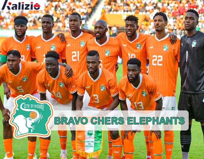 Bravo aux elephants